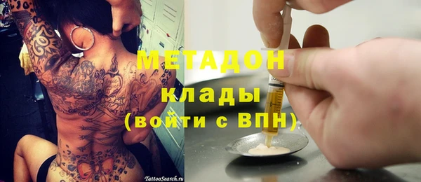 PSILOCYBIN Алагир