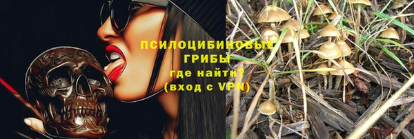 скорость Арсеньев