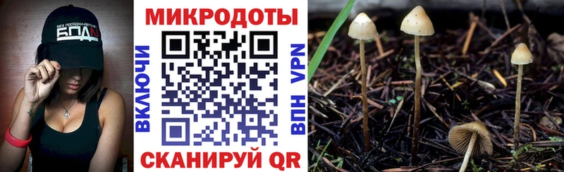 Псилоцибиновые грибы ЛСД  Нижний Тагил 
